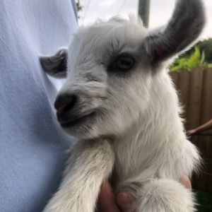 Meet your Posher, Kristen